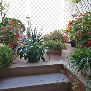 Casa vacanze Da Francesca A, Pisa
